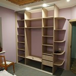 Шкаф-купе 259