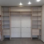 Шкаф-купе 540