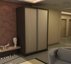 Шкаф-купе "Леон 2 И2"