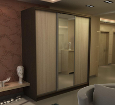 Шкаф-купе "Леон 2 И3"