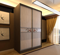 Шкаф-купе "Декор G2"
