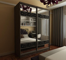 Шкаф-купе "Форт" s2x2