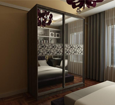 Шкаф купе "Форт" sb2