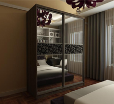 Шкаф-купе "Форт" sx2