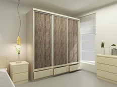 Шкаф-купе "Экос" Лайт 3,0