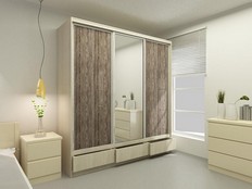 Шкаф-купе "Экос" Сэт 3,0