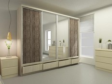 Шкаф-купе "Экос" Сэт 4,0