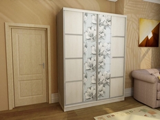 Шкаф-купе "Лотос С2"
