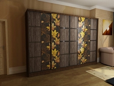 Шкаф-купе "Лотос Т4"