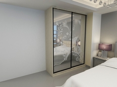 Шкаф-купе "Рид 2п2"