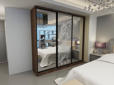 Шкаф-купе "Рид 1п3"