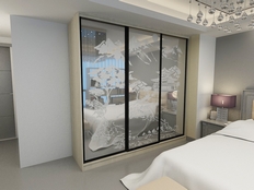 Шкаф-купе "Рид 3п3"