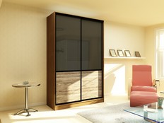Шкаф-купе "Нуар" 02