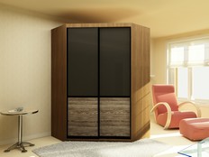 ШКАФ-КУПЕ "НУАР" 02 (Т2)