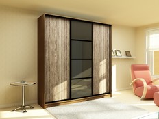 ШКАФ-КУПЕ "НУАР" 230