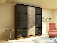 Шкаф-купе "Нуар" 23