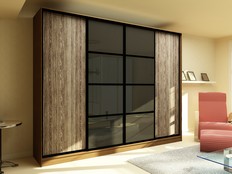 Шкаф-купе "Нуар" 24