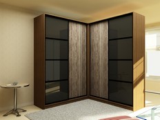 ШКАФ-КУПЕ "НУАР" 24 (Т3)