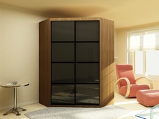 ШКАФ-КУПЕ "НУАР" 222 (Т2)