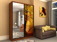 Шкаф-купе "Стэн - 200ф1"