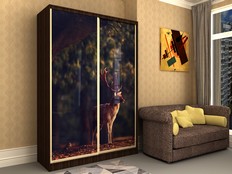 Шкафы-купе "Стэн - 200ф2"