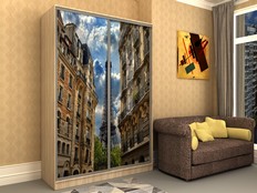 Шкафы-купе "Стэн - 201ф2"