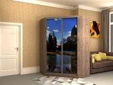 Шкаф-купе "Стэн - 201ф2" (Т2)