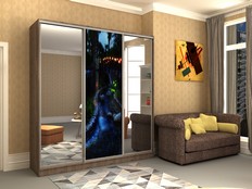 Шкафы-купе "Стэн - 300ф1"