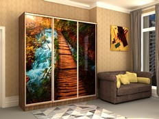 Шкафы-купе "Стэн - 300ф3"