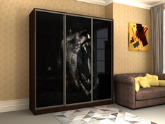 Шкафы-купе "Стэн - 301ф3"