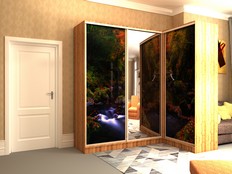 Шкафы-купе "Стэн - 300ф2" (T3)