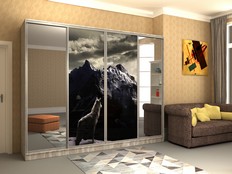 Шкафы-купе "Стэн - 400ф2"