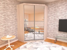 Шкаф-купе "Рид 3 - 200А" (Т2)