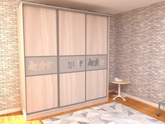 Шкаф-купе "Рид 3 - 300"