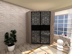 Шкаф-купе "Нуар 2" Д2 (Т2)