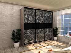 Шкаф-купе "Нуар 2" Д3