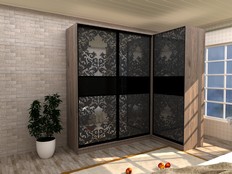 Шкаф-купе "Нуар 2" Д3 (Т3)