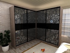 Шкаф-купе "Нуар 2" Д4 (Т3)