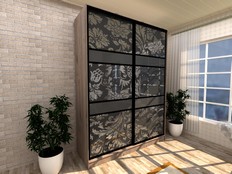 Шкаф-купе "Нуар 2" Т2